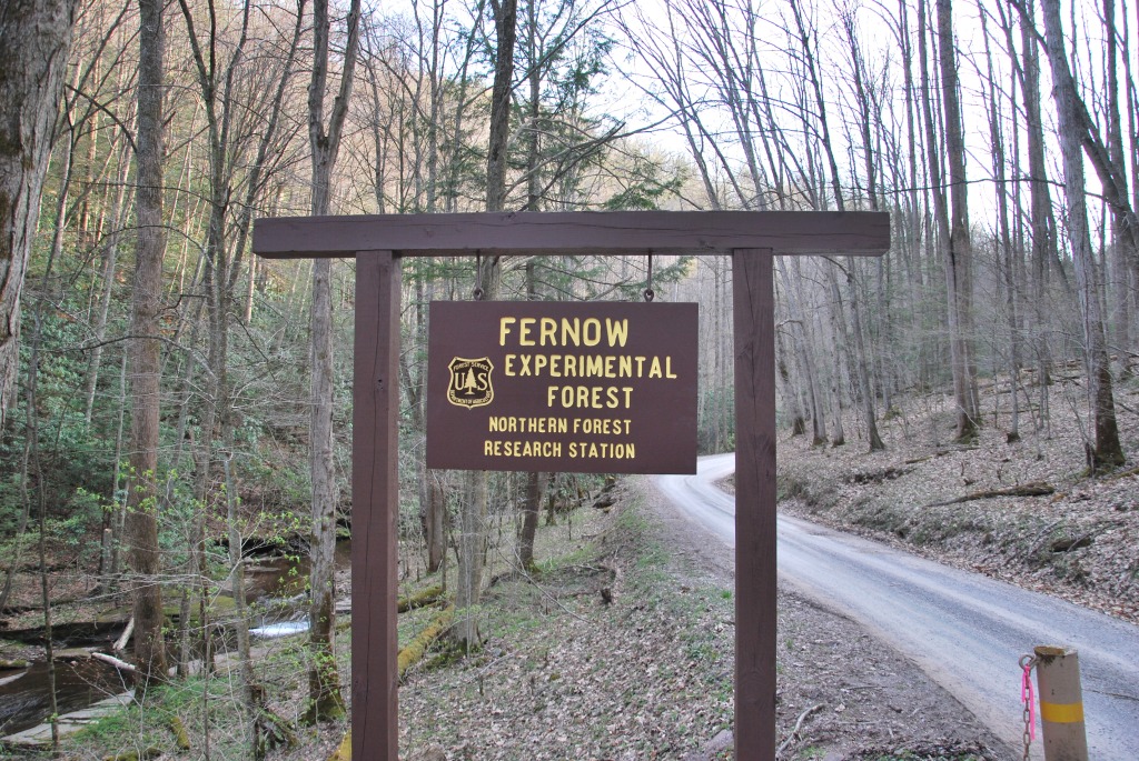 Fernow_Experimental_Forest_-_Entrance_Sign