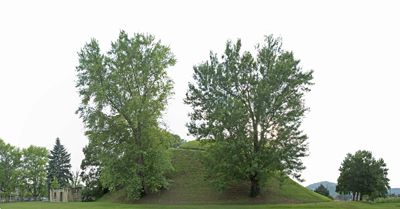 Grave creek Mound