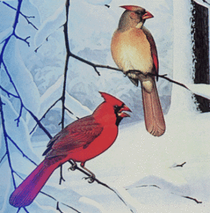 WV official state bird cardinal west virginia WEST VIRGINIA STATE SYMBOLS OFFICIAL