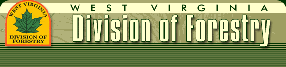 Divison of Forestry