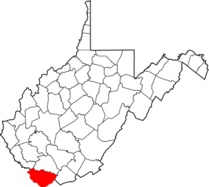 west virginia county map